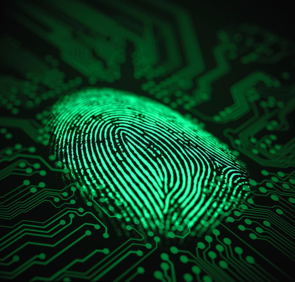 指纹芯片的工作原理及应用领域详解